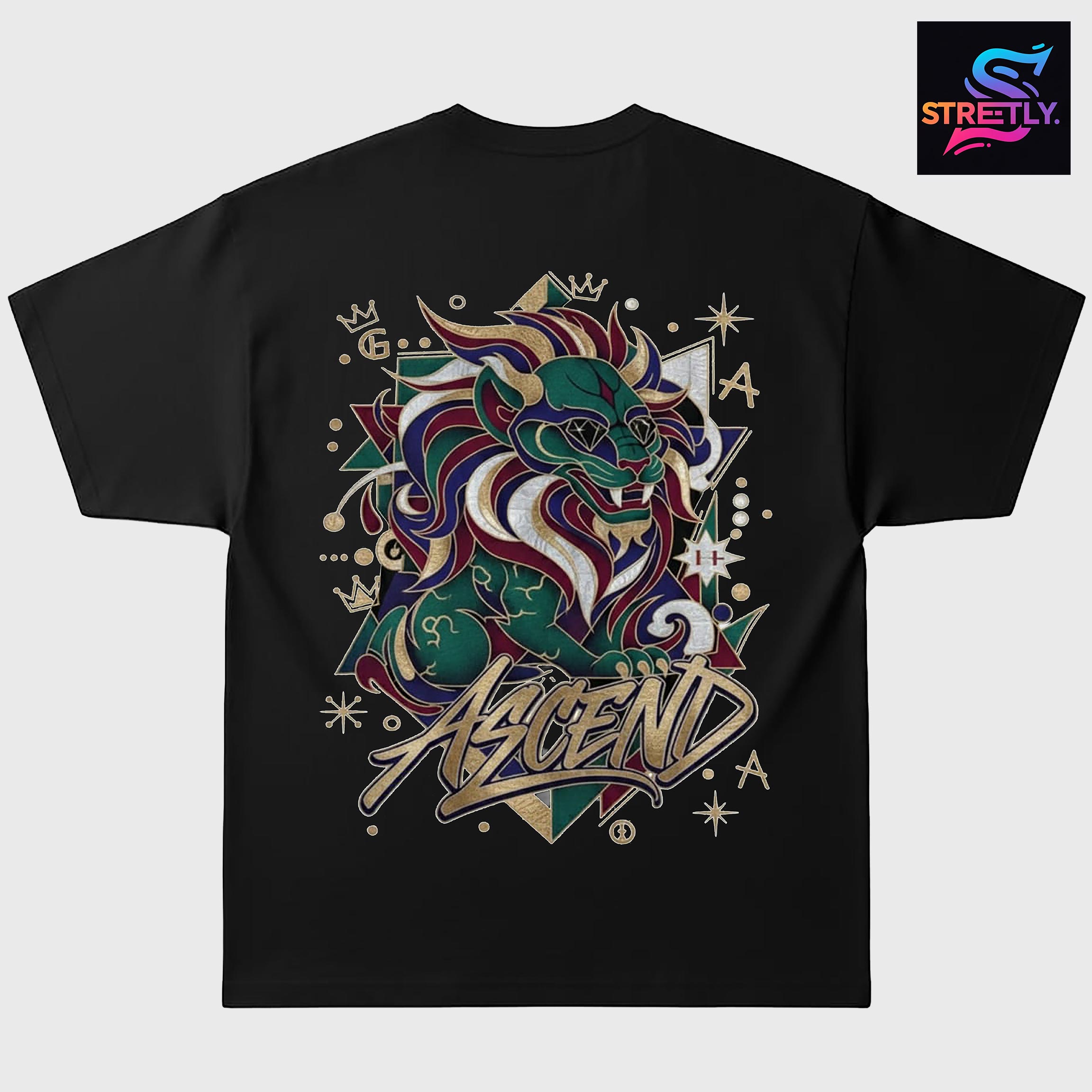 Ascend|Graphic Printed Oversized Crew Neck Premium T-shirt|100% Cotton|Unisex